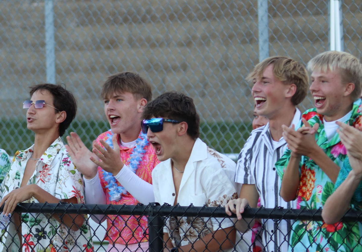 Opinion: Senior Year Expectations vs. Reality